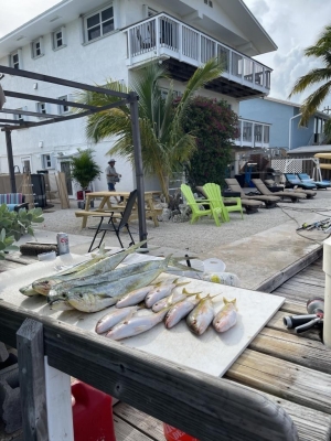 Fish Cleaning Station