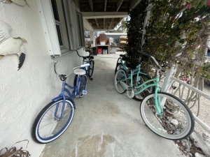 Free bicycles (3 adult & 2 youth)