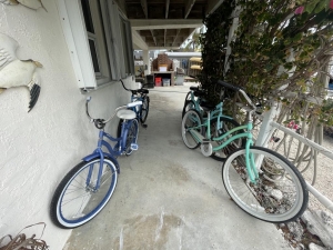 FREE USE bicycles (3 adult & 2 youth)